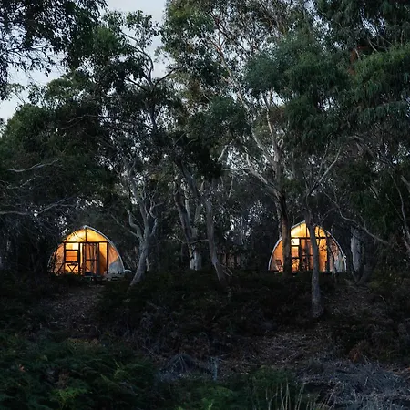Numie I Cabin I Hot Tub I Views I Waterfront Coles Bay Exterior photo